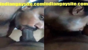 Tamil boys engage in gay sex with blowjob and more in Dindi Boys music video