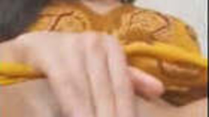 An Indian girl pleasuring herself by rubbing her clitoris.