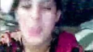 This is a fantasy Muslim sex scene with a Pakistani heroine.